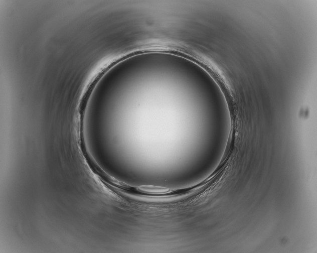 X0000096381472200801241226