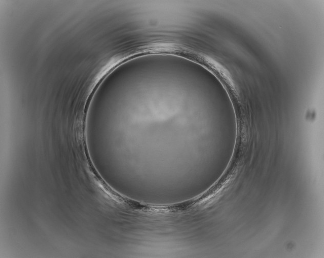 X0000096381473200801241226