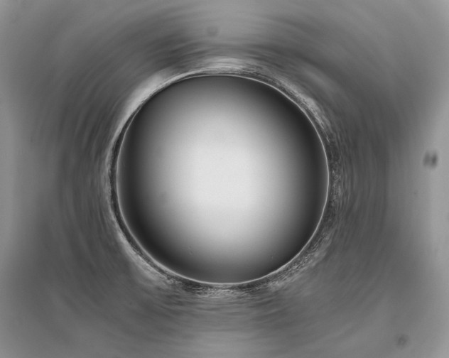 X0000096381475200801241225