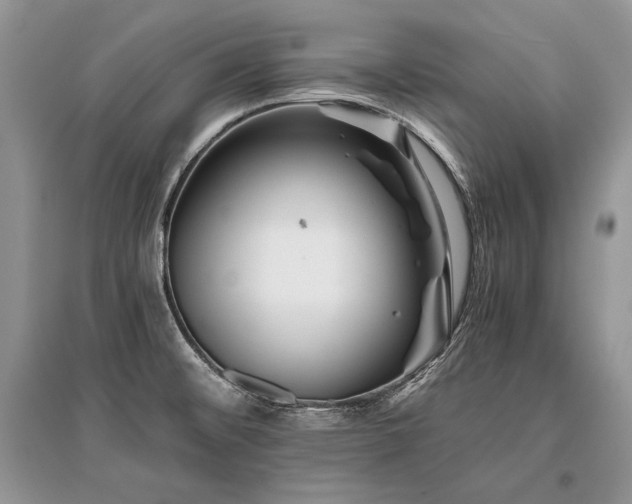 X0000096381476200801241225
