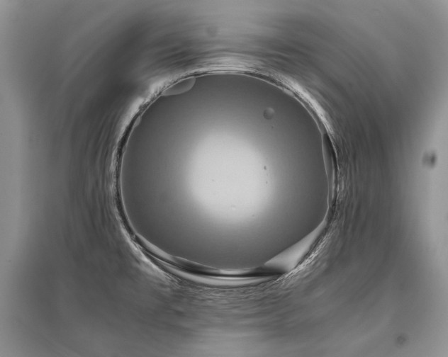 X0000096381477200801241225
