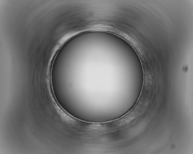 X0000096381478200801241225