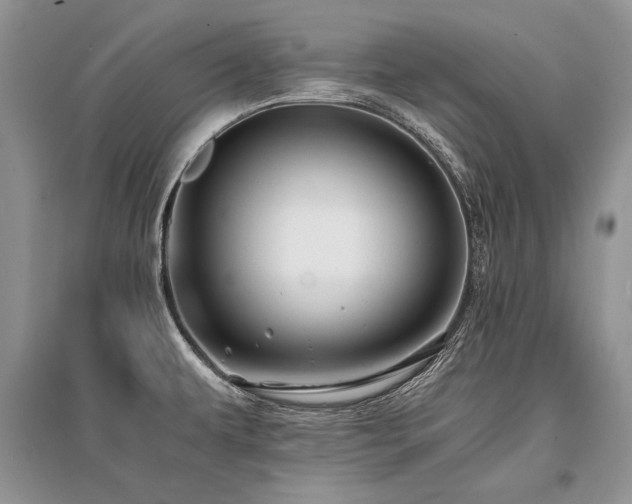 X0000096381479200801241225