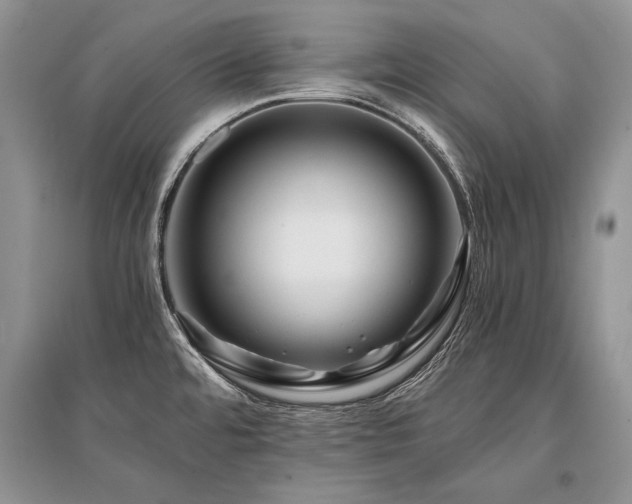 X0000096381480200801241225