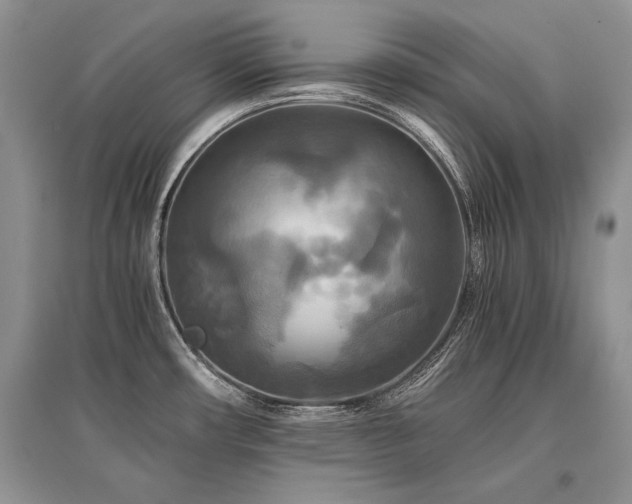 X0000096381482200801241225