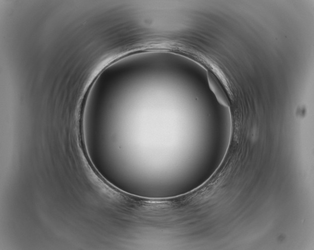 X0000096381483200801241225