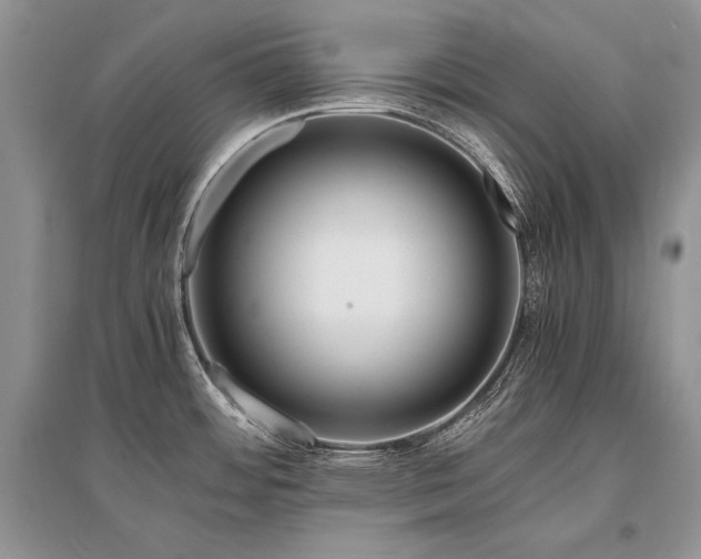 X0000096381484200801241225