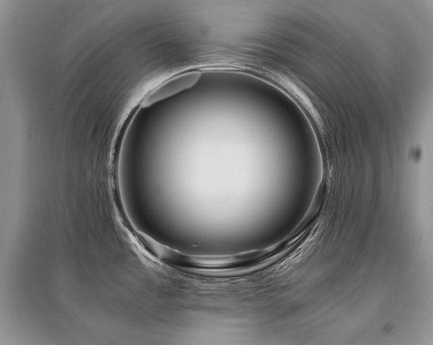 X0000096381485200801241225