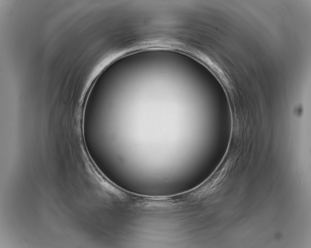 X0000096381486200801241225