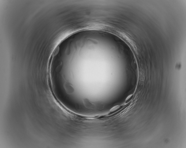 X0000096381487200801241225