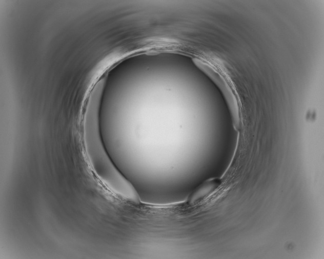 X0000096381488200801241225