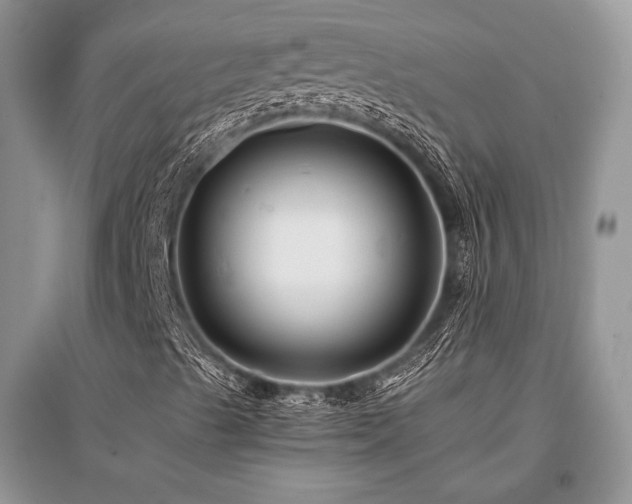X0000096381489200801241224