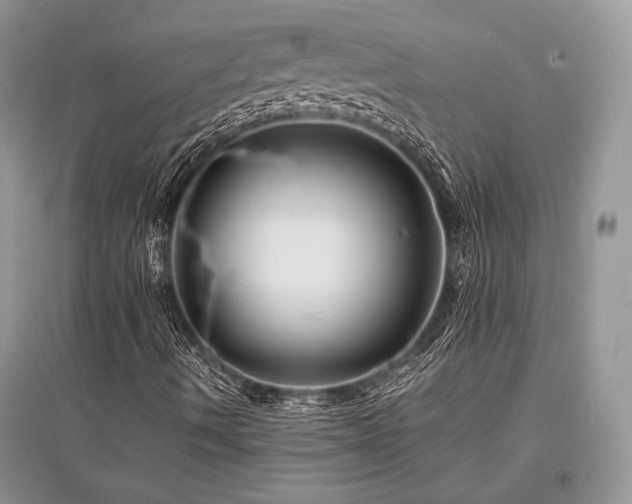 X0000096381490200801241224