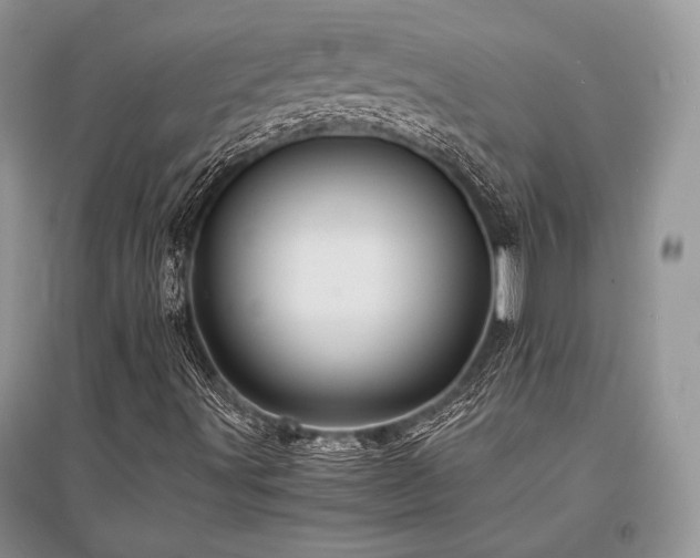 X0000096381491200801241224