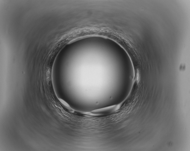 X0000096381492200801241225