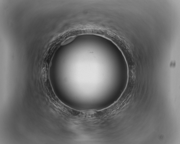 X0000096381493200801241225
