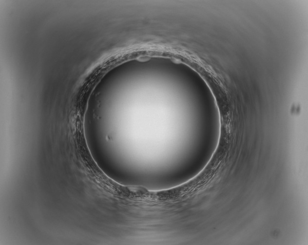 X0000096381495200801241225