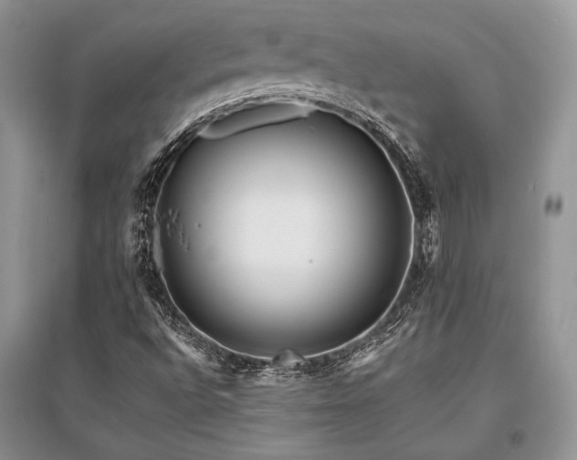 X0000096381496200801241225