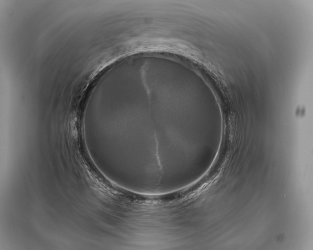 X0000096381497200801241225