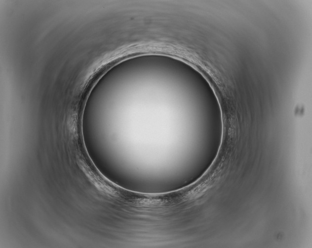 X0000096381499200801241225