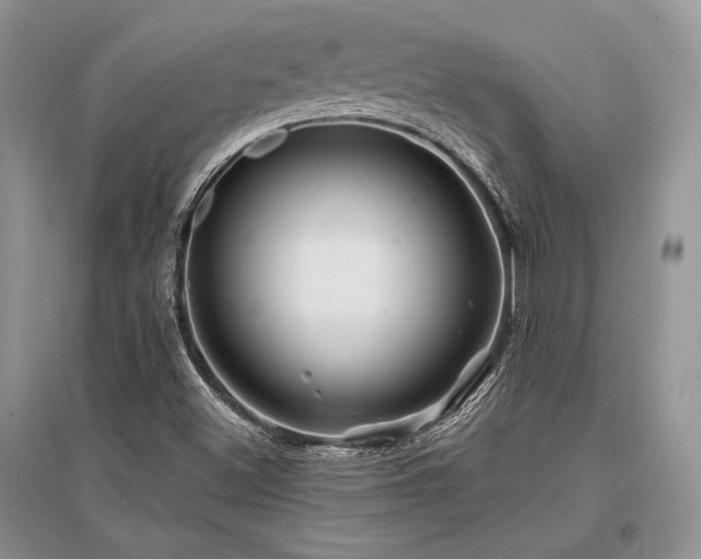 X0000096381500200801241225