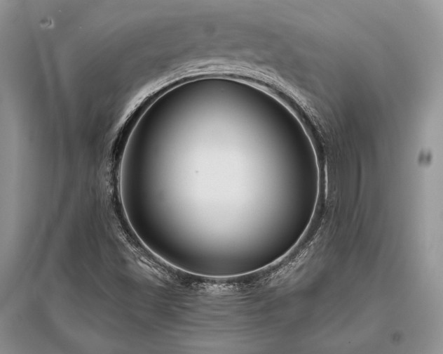 X0000096381501200801241225