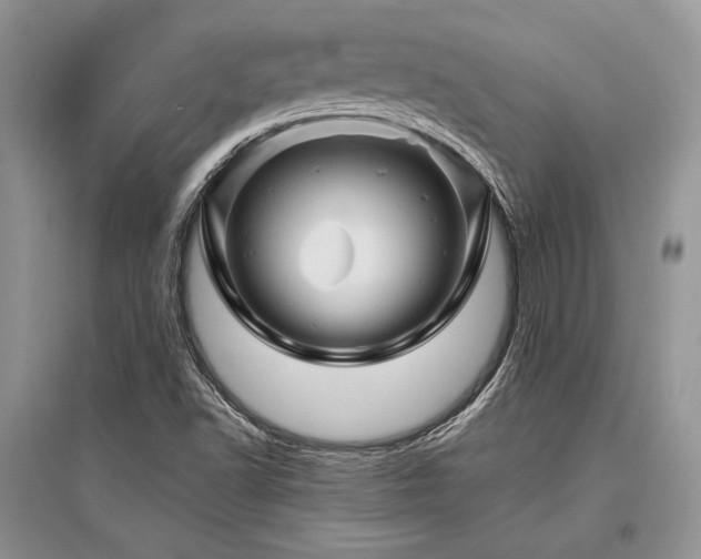 X0000096381502200801241225
