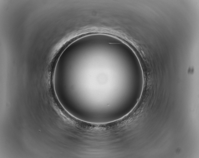X0000096381503200801241225