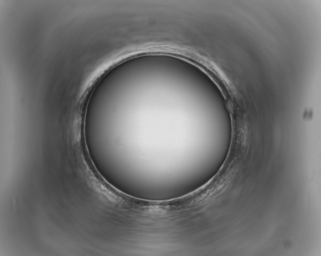 X0000096381504200801241225