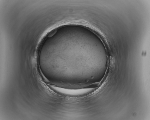 X0000096381506200801241225