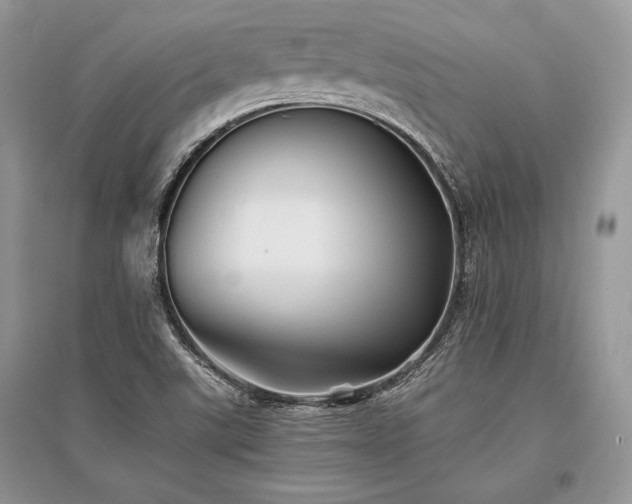 X0000096381507200801241225