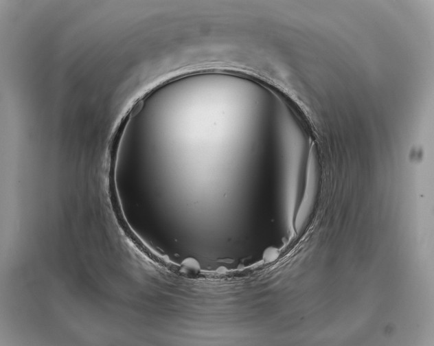 X0000096381508200801241225