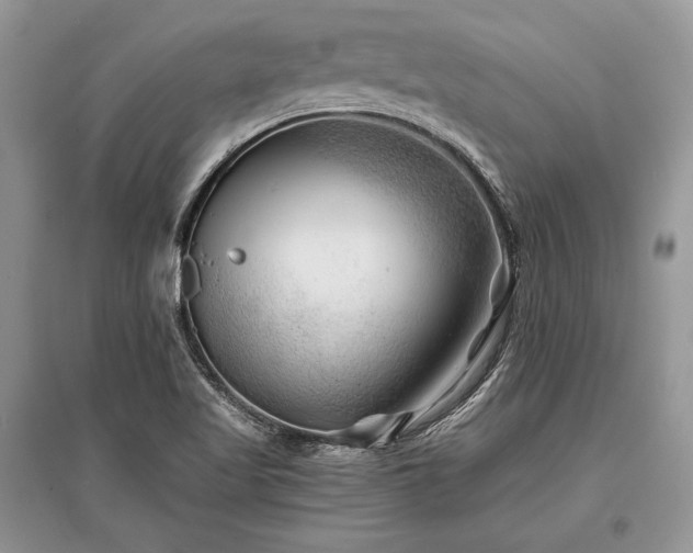 X0000096381509200801241225