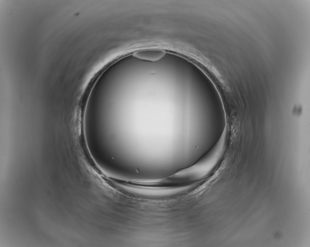 X0000096381510200801241225