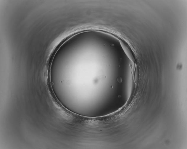 X0000096381511200801241225