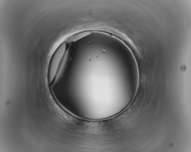 X0000096381512200801241225