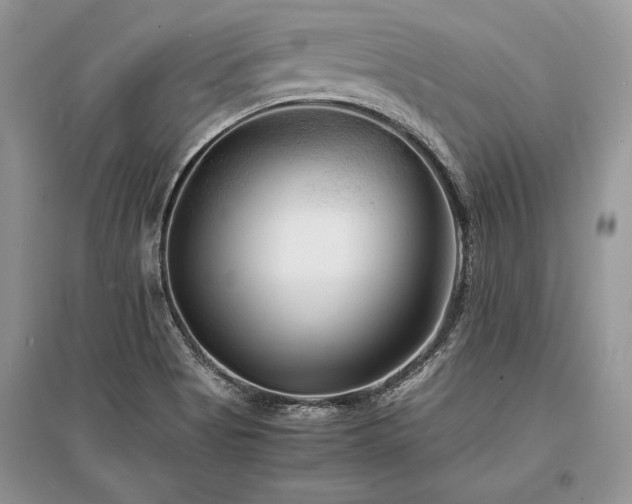 X0000096381513200801241225