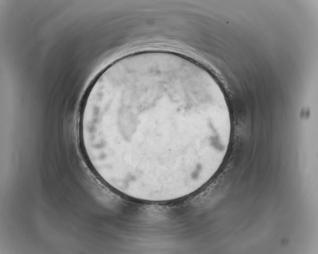 X0000096381514200801241225