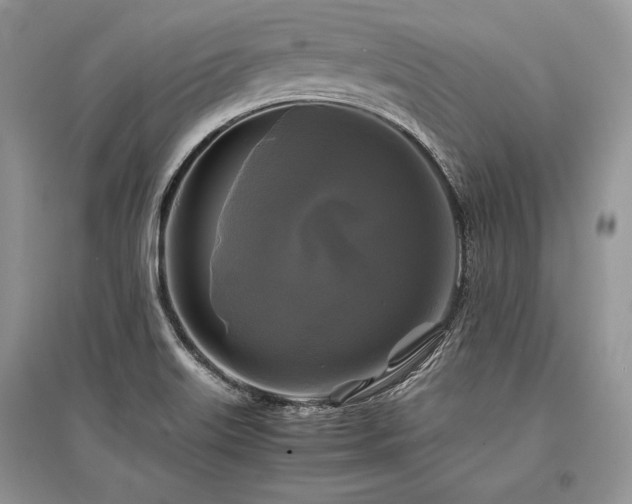 X0000096381515200801241225