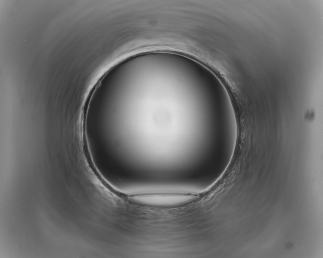 X0000096381516200801241225