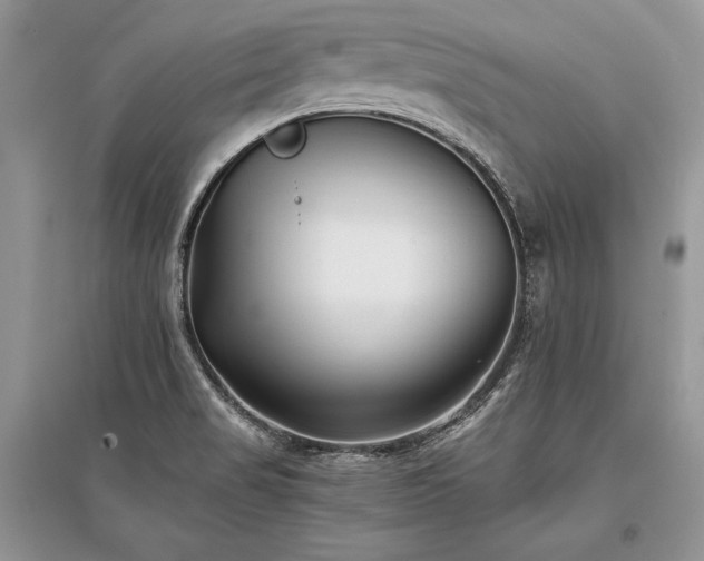 X0000096381517200801241225