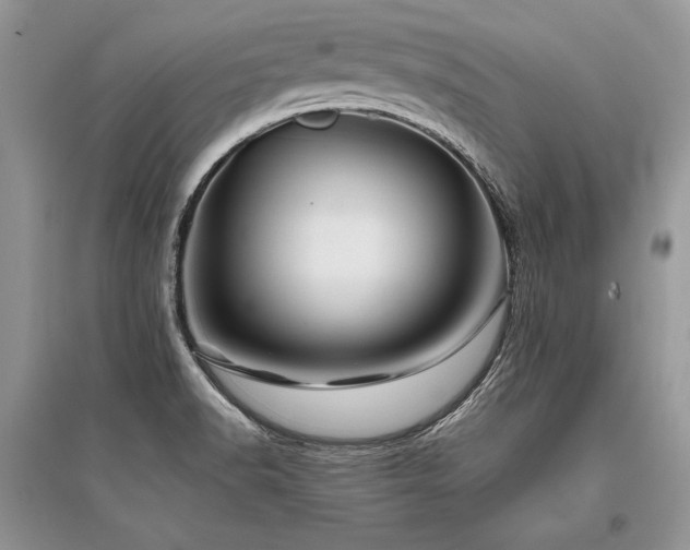 X0000096381518200801241225