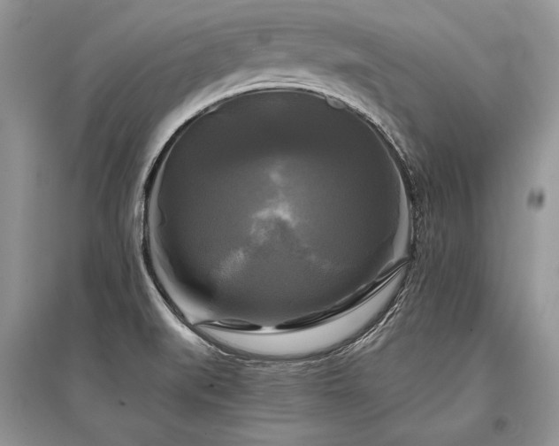 X0000096381519200801241225