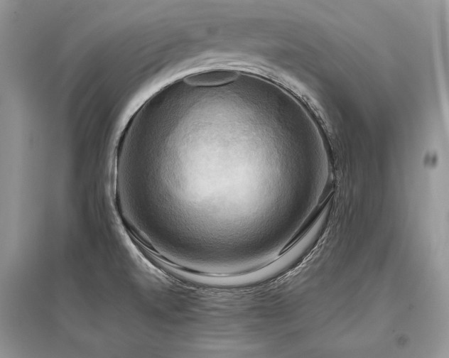 X0000096381520200801241225
