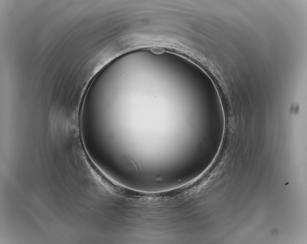 X0000096381521200801241225