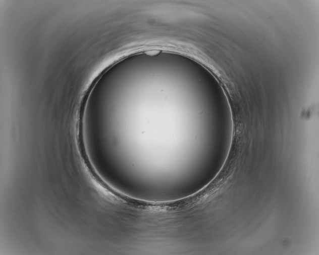 X0000096381523200801241225