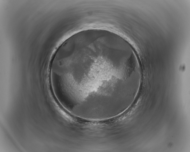 X0000096381525200801241225