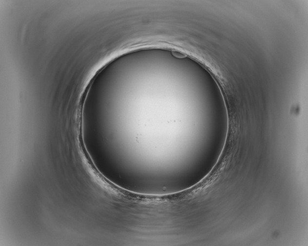 X0000096381526200801241225