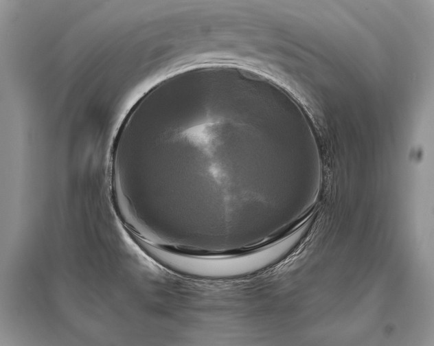 X0000096381527200801241225