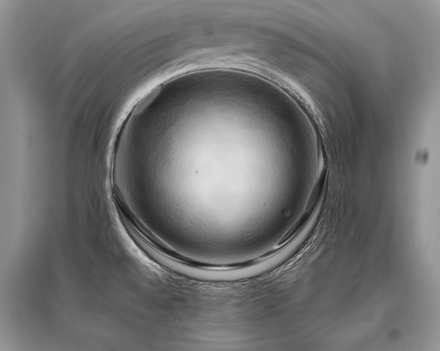 X0000096381528200801241225